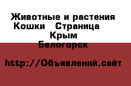 Животные и растения Кошки - Страница 4 . Крым,Белогорск